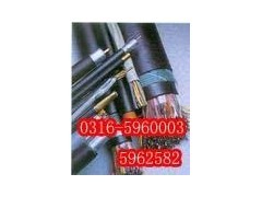 特种电缆应用指南 从硅橡胶到氟塑料，解锁工业核心连接方案